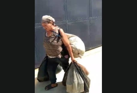 Rescatan a gato en medio de situación crítica con mujer en condición de calle