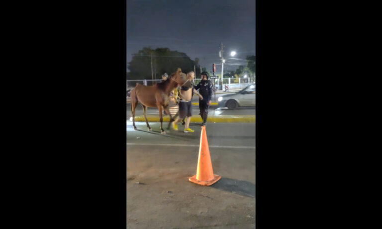 Policías escoltan a hombre con caballo en Cuatricentenario en inusual hecho