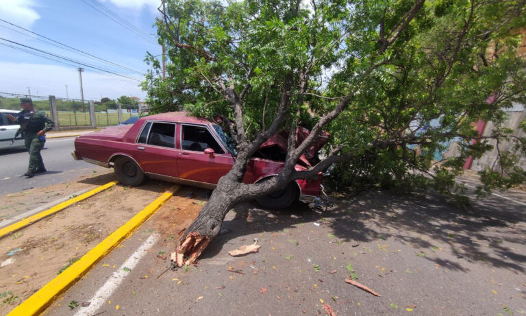 Conductor de un Caprice se estrella contra árbol de nin en El Milagro