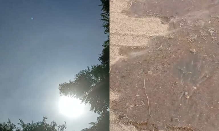 Marabino muestra cómo el sol evapora agua en la calle: “Y no es hielo seco”