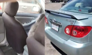 Perrito pasa encerrado “más de 2 horas” dentro de un carro frente a Samba Latino