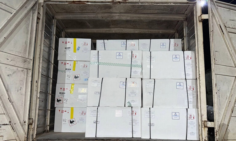 Llegan 226.000 vacunas contra la fiebre amarilla desde Rusia
