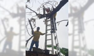 Reportan que las cañadas fluyeron con normalidad a pesar del aguacero