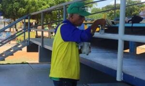 Avanzan en 80 % trabajos de recuperación de la Vereda del Lago