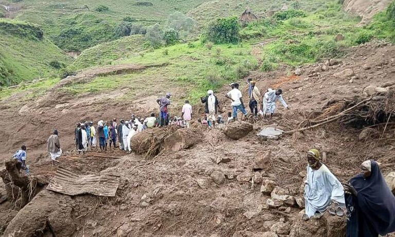 Al menos 1.000 muertos y un sobreviviente deja deslizamiento de tierra en aldea de Sudán