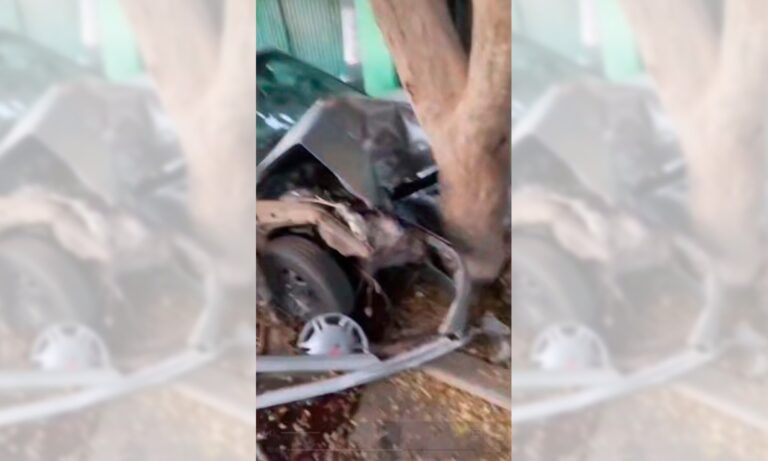 Pierde los frenos y choca contra un árbol en Socorro: 3 adultos y 1 niño heridos