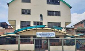 Estudiante apuñala a tres personas en colegio de Táchira por reto de TikTok