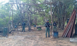 Localizan un “campamento clandestino usado como astillero” en Los Jobitos