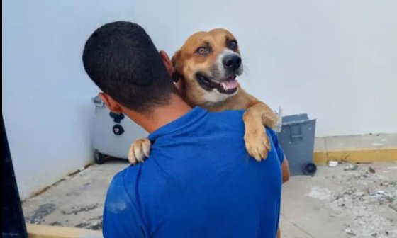 Mueven a sede de Los Haticos a “Genyerbet”, perrito “gerente” de Traki Cima