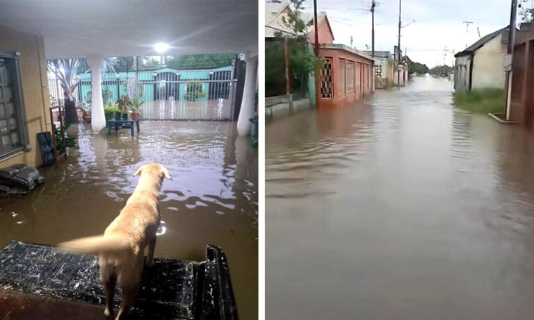 Fuertes lluvias generan inundaciones en varias parroquias de Cabimas