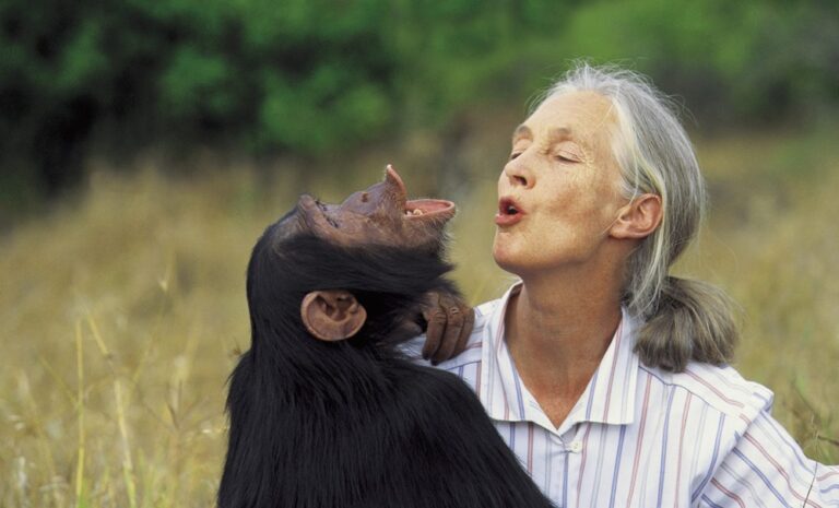 Muere a los 91 años Jane Goodall, experta mundial en chimpancés