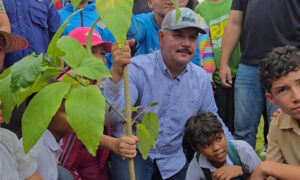 Zulia participa en Jornada Nacional de Reforestación con siembra de más de 7.000 árboles
