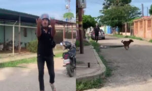 Persigue con un machete a un perro en Cabimas por “morderlo 2 veces”