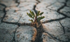 Las claves de Juan Carlos López Tovar sobre la resiliencia en la ganadería