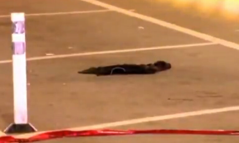 Arrestan a 3 adolescentes venezolanos por matar a hombre sin hogar en Chicago