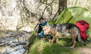 El perro es “el fiel amigo del hombre” desde hace 10 mil años