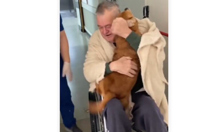 Abrazo de hombre y su perro tras 82 días de hospitalización conmueve en las redes