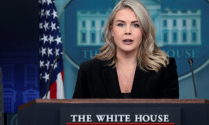 Casa Blanca: Trump “está muy interesado” en “tomar medidas” contra “cárteles de droga”