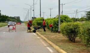 Limpian y desmalezan la avenida Don Manuel Belloso de Maracaibo