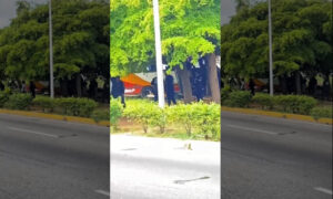 Microbús sin frenos se estrella frente a Humanidades: no reportan heridos