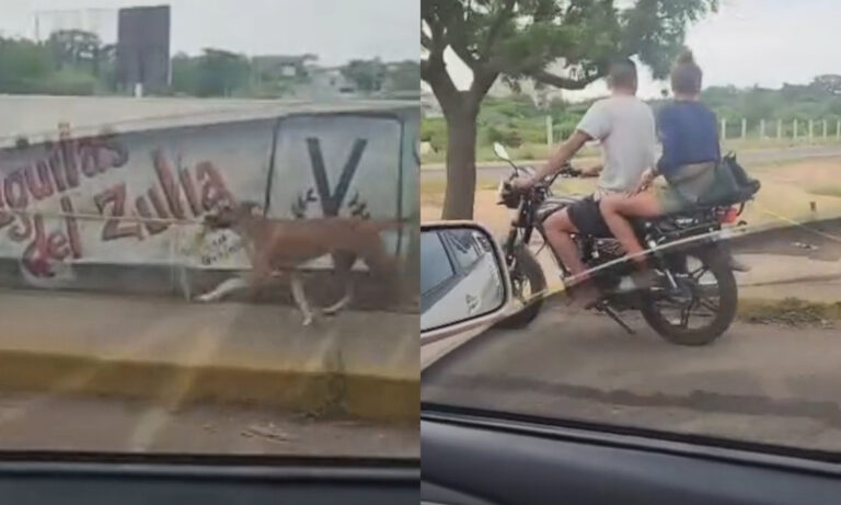 Perrito amarrado con mecate en moto genera indignación en Maracaibo
