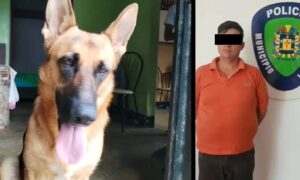 Detienen a hombre en Mérida por abuso sexual contra perrita de su vecina