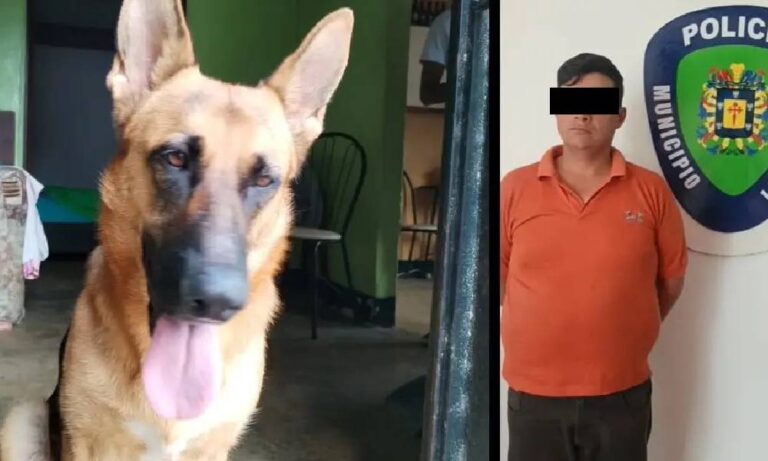 Detienen a hombre en Mérida por abuso sexual contra perrita de su vecina