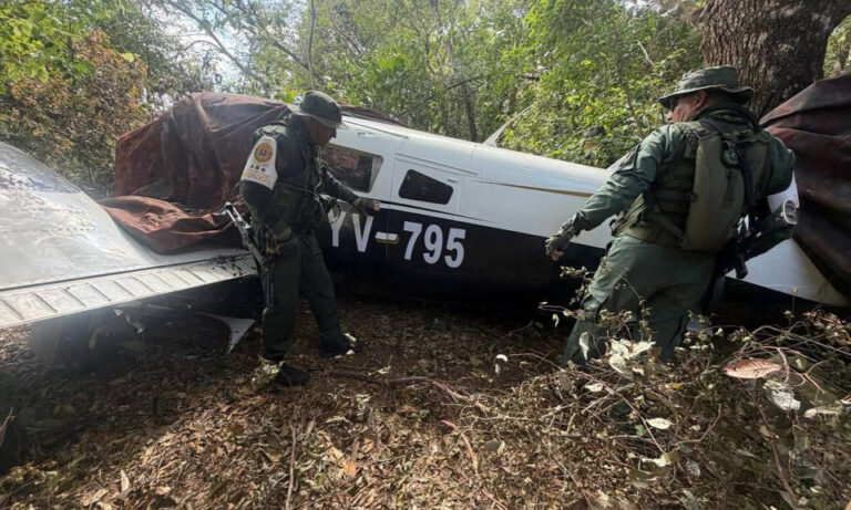 Fanb destruye “campamento logístico” junto a 2 “narcoavionetas” en Apure