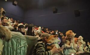 Cines de China permiten entrada a mascotas en proyección de “Zootopia 2”