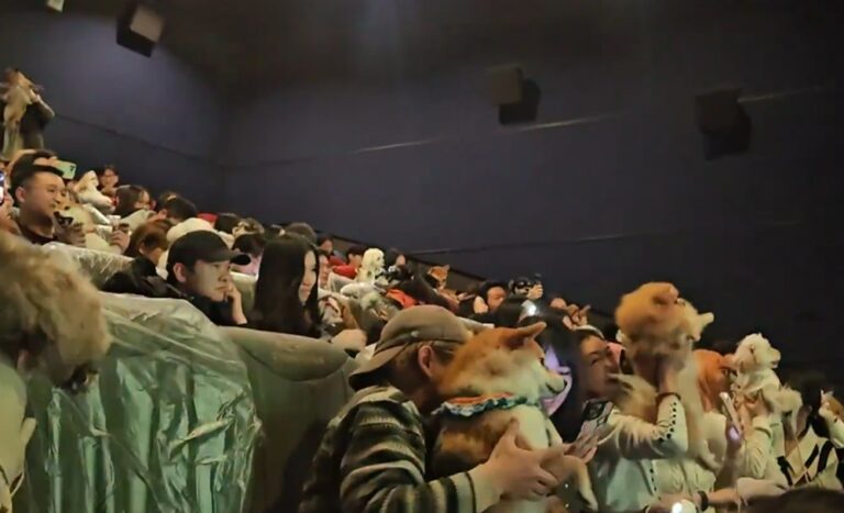 Cines de China permiten entrada a mascotas en proyección de “Zootopia 2”