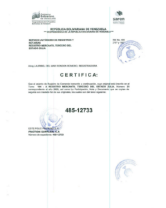 Registro Mercantil Friction Supplier, C.A Expediente NRO 485-12733