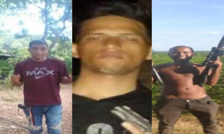 Neutralizan a 3 miembros del “Tren del Llano” en Guárico