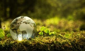 Vitalis revela 9 indicadores que definen la verdadera responsabilidad ambiental y social