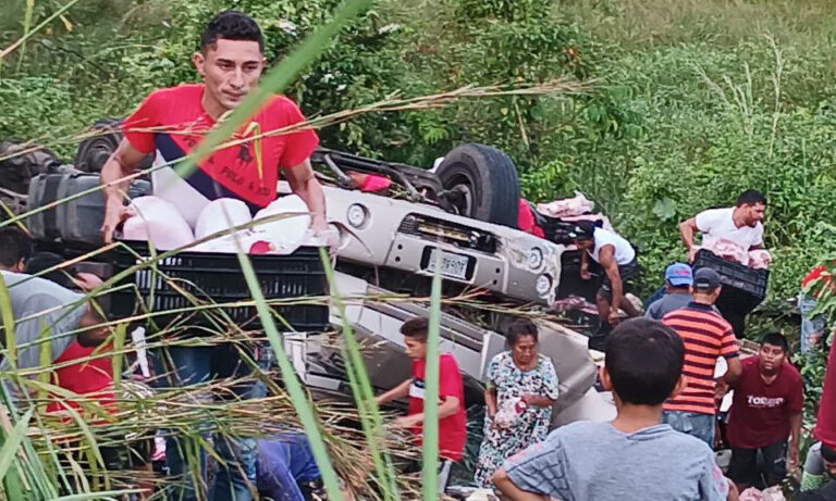 Se vuelca camión con pollos en Machiques y vecinos se llevan la mercancía