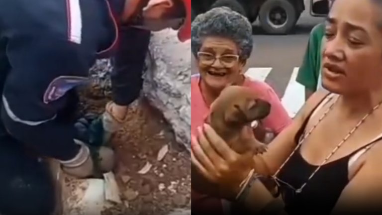 Rescatan a cachorro atrapado debajo de una acera y dentro de una tubería