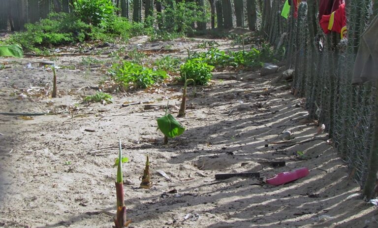El calendario climático de los wayuu en Venezuela cambia al ritmo de la crisis