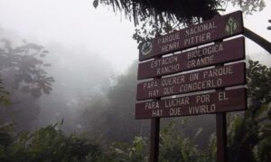 Incendio en el Parque Nacional Henri Pittier deja 27 hectáreas afectadas
