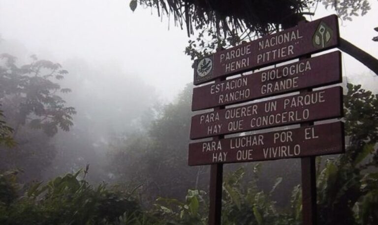 Incendio en el Parque Nacional Henri Pittier deja 27 hectáreas afectadas