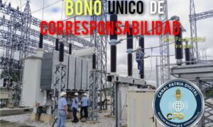 Pagan el bono Único de Corresponsabilidad de febrero por Patria