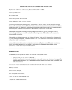 Orden para Publicación Mediante Notificación Expediente Nro SU24A0641SJ