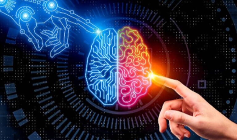 Una evolución digna de estudio