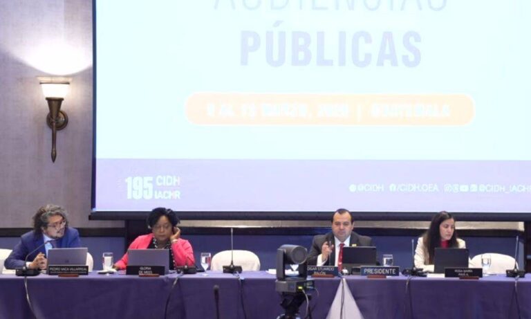 CIDH insiste en visitar Venezuela y ayudar a que “se acelere la transición democrática”