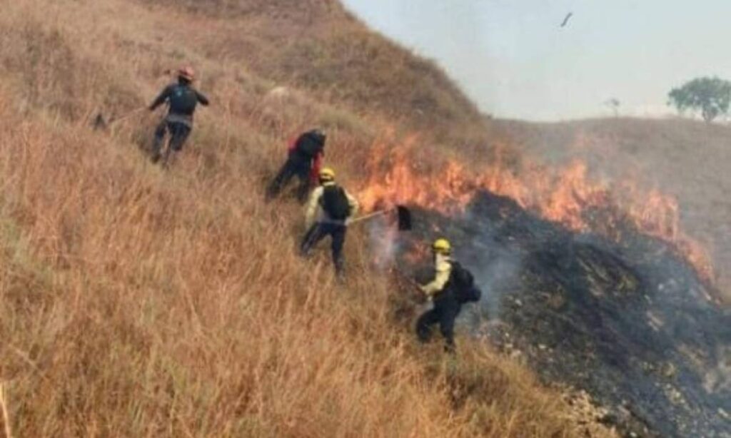 Al menos 100 hectáreas afecta incendio en el parque Henri Pittier