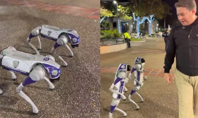Chacao incorpora perros robóticos con IA para reforzar la seguridad