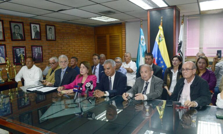 Proponen otras fuentes de energía para “rescatar” el sistema energético: “No todo es petróleo y gas”