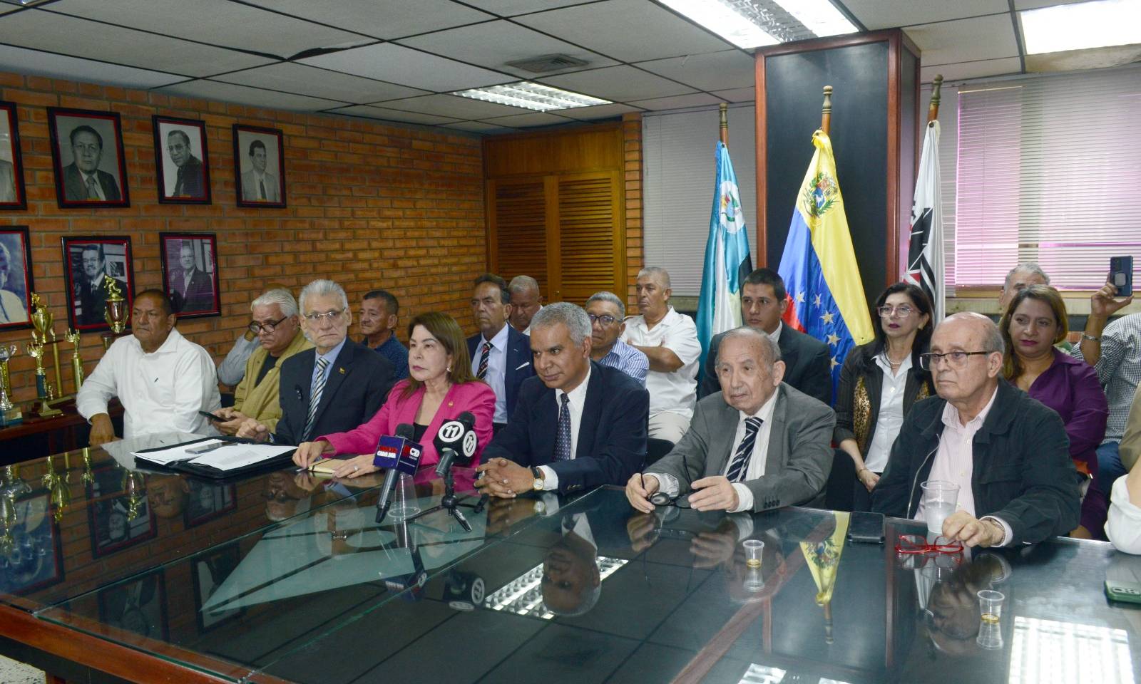 Proponen otras fuentes de energía para “rescatar” el sistema energético: “No todo es petróleo y gas”