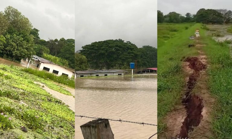 Reportan aumento de caudal del río Zulia y riesgo de desbordamiento