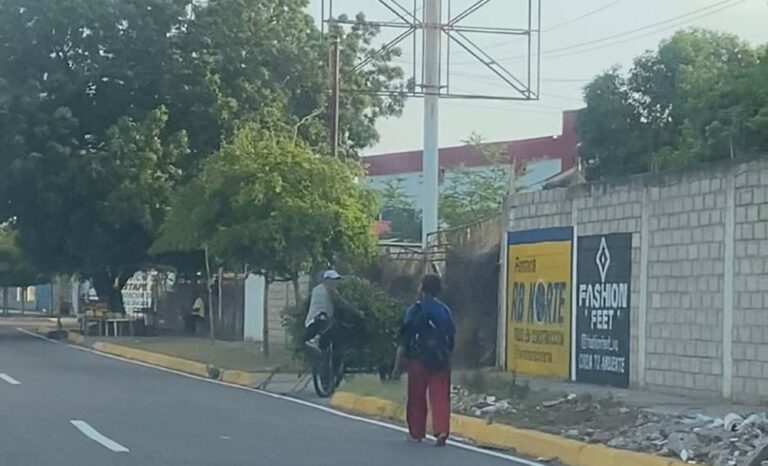 Sancionan a 2 ciudadanos por cortar 2 búcaros y lanzarlos en la calle