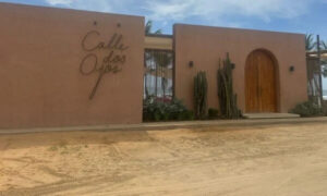 Sebin allana club en Margarita presuntamente vinculado a los hijos de Alex Saab
