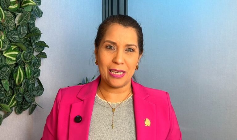 La diputada Gladis Socorro exige cronograma electoral